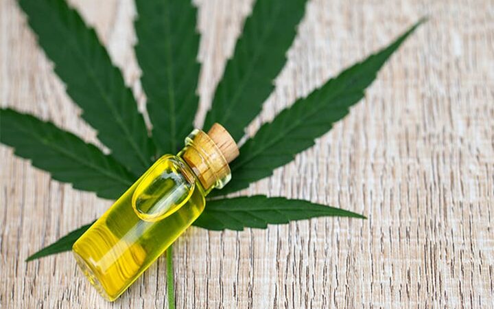 CBD Oil For Dogs: What You Need To Know